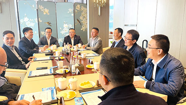 不同服务商提供的价格差异如何