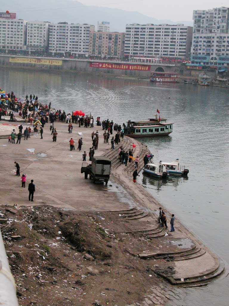 市场行情与影响因素全解析