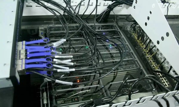 揭秘服务器能承载多少APP