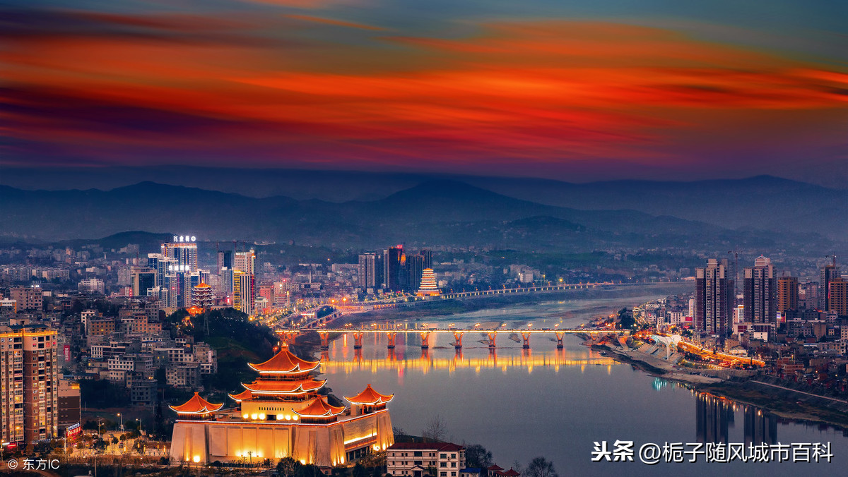 陕西中医药领域最新进展