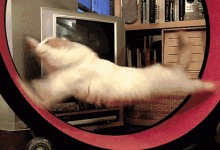 快速获取最新浙大一院服务器网址-优乐评测网