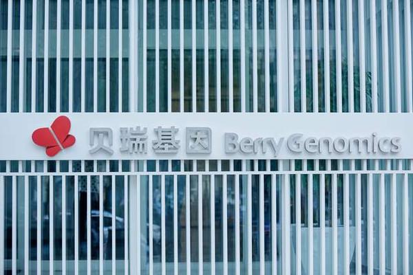 揭秘贝瑞基因云技术背后的力量