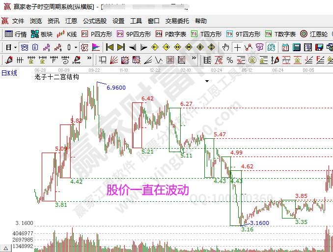 市场价格波动及影响因素