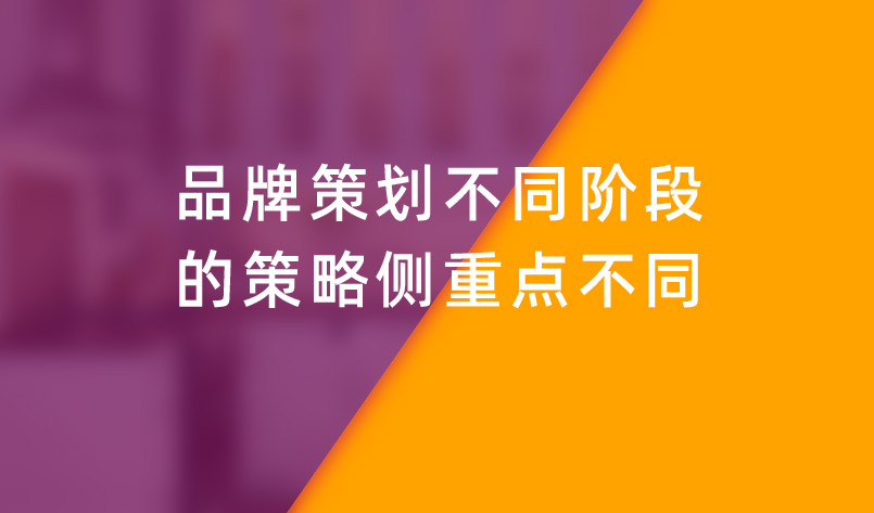 不同品牌与配置的万兆网卡主板价格差异