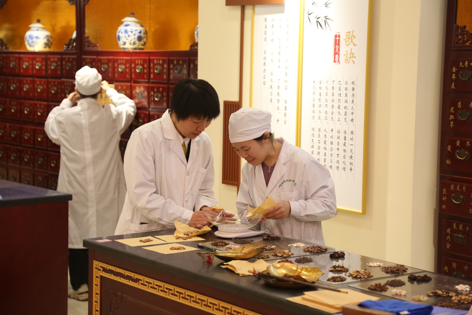 探索中药现代化之路