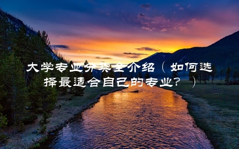 专业查询指南与解答