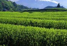 因素解析与价格概览-优乐评测网