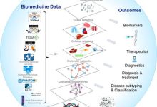 生物信息数据处理的高效发展赋能科研和产业进展-优乐评测网
