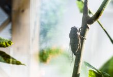 全知晓。 (文一知十,no_ai_sug:false}],slid:260839244739379,queryid:0x182ed3b5e86b333)-优乐评测网