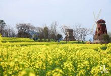 东江湖畔的科技奇迹 (东江湖畔的科学家是谁,no_ai_sug:false}],slid:22932725291971,queryid:0x24714db70f1dbc3)-优乐评测网