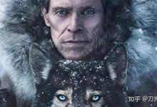 热门型号与价格范围对比-优乐评测网