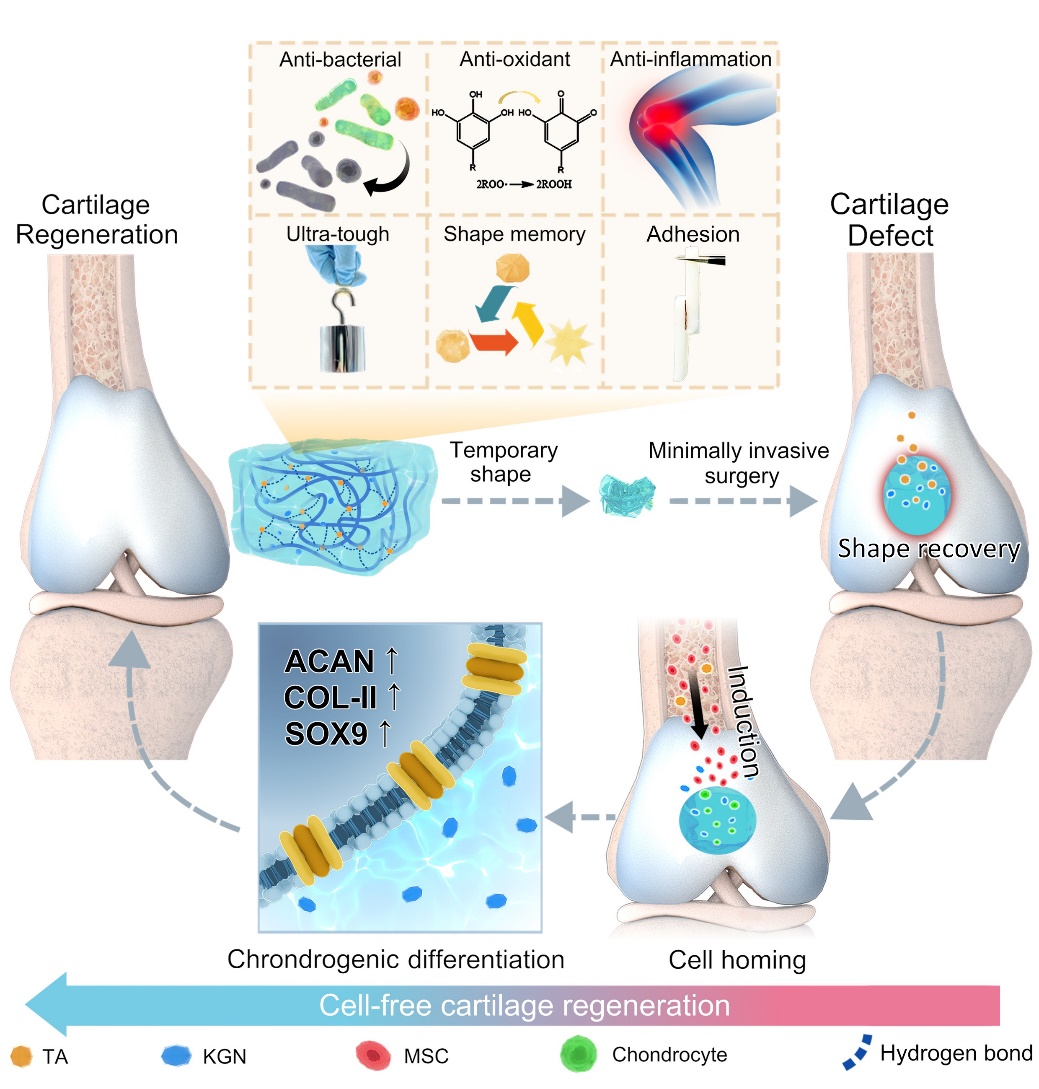 修复成本与费用因素剖析