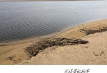 一般来说，爱江湖服务器的价格取决于其硬件配置、内存大小、存储空间、处理器性能等因素。-优乐评测网