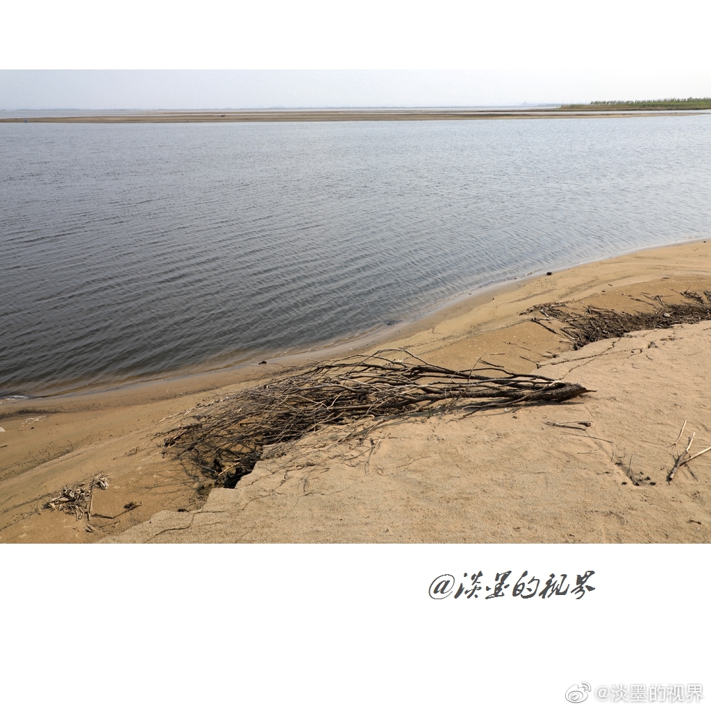 处理器性能等因素