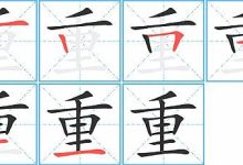 重磅解析,年度收益总额及其收入来源揭晓-优乐评测网