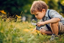 探索服务器性能的核心驱动力-优乐评测网