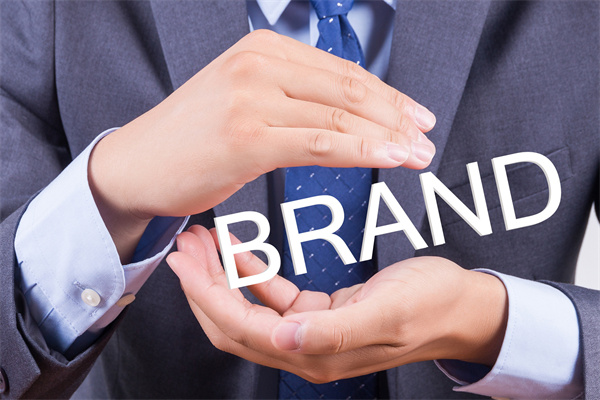 品牌差异与性能特点