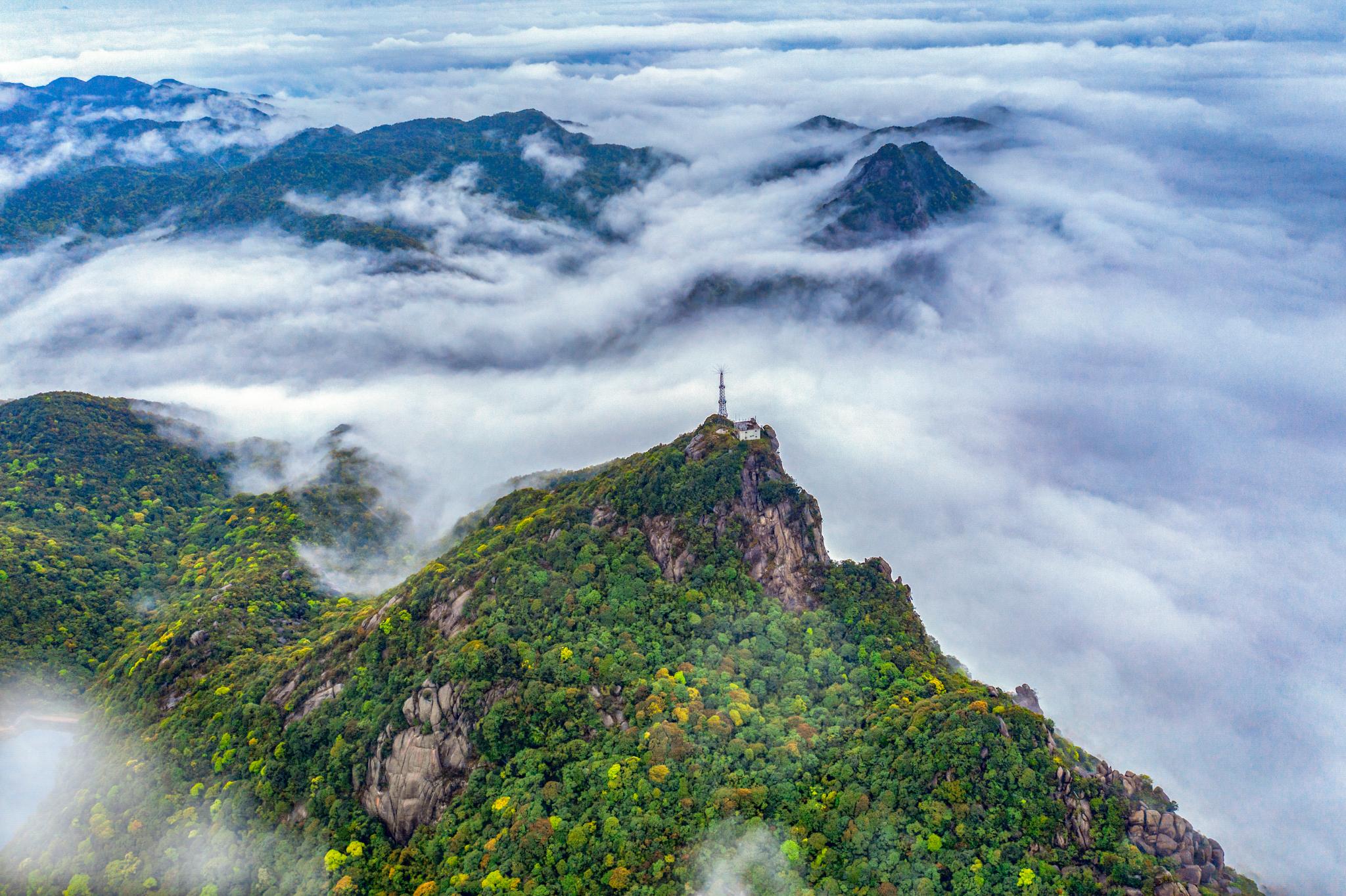 广东地区网络服务器机柜价格走势
