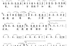 你是否知道如何获取河北电信DNS服务器地址？跟随我们的步骤获取准确信息。-优乐评测网