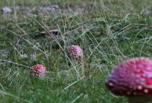 多样功能一览无余-优乐评测网