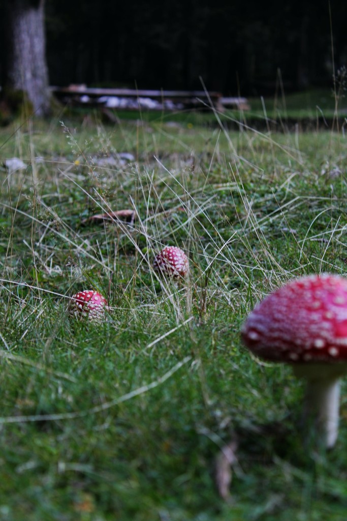 多样功能一览无余