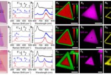 多维度解析建三国服务器的成本。-优乐评测网
