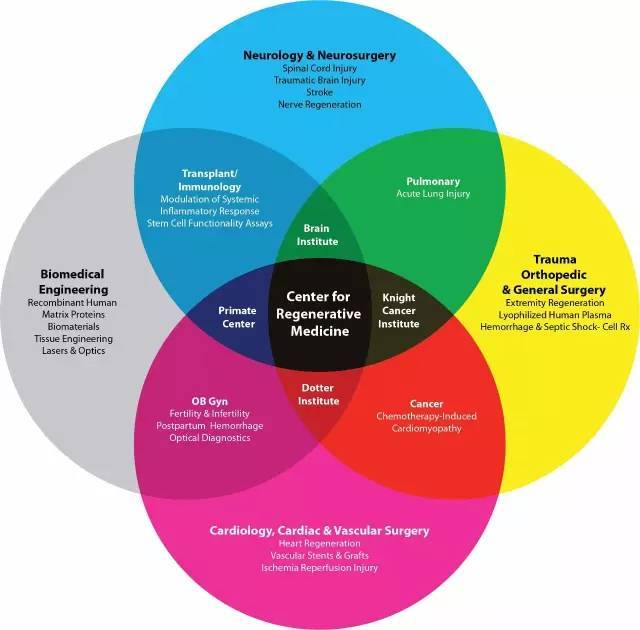 多学科融合引领前沿研究
