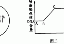 不同类型和配置的服务器价格各异。-优乐评测网