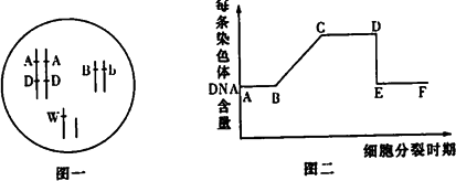 不同类型和配置的服务器价格各异