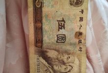 究竟多少钱?全面解析!-优乐评测网