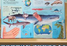 揭秘驯养生物数量的上限-优乐评测网