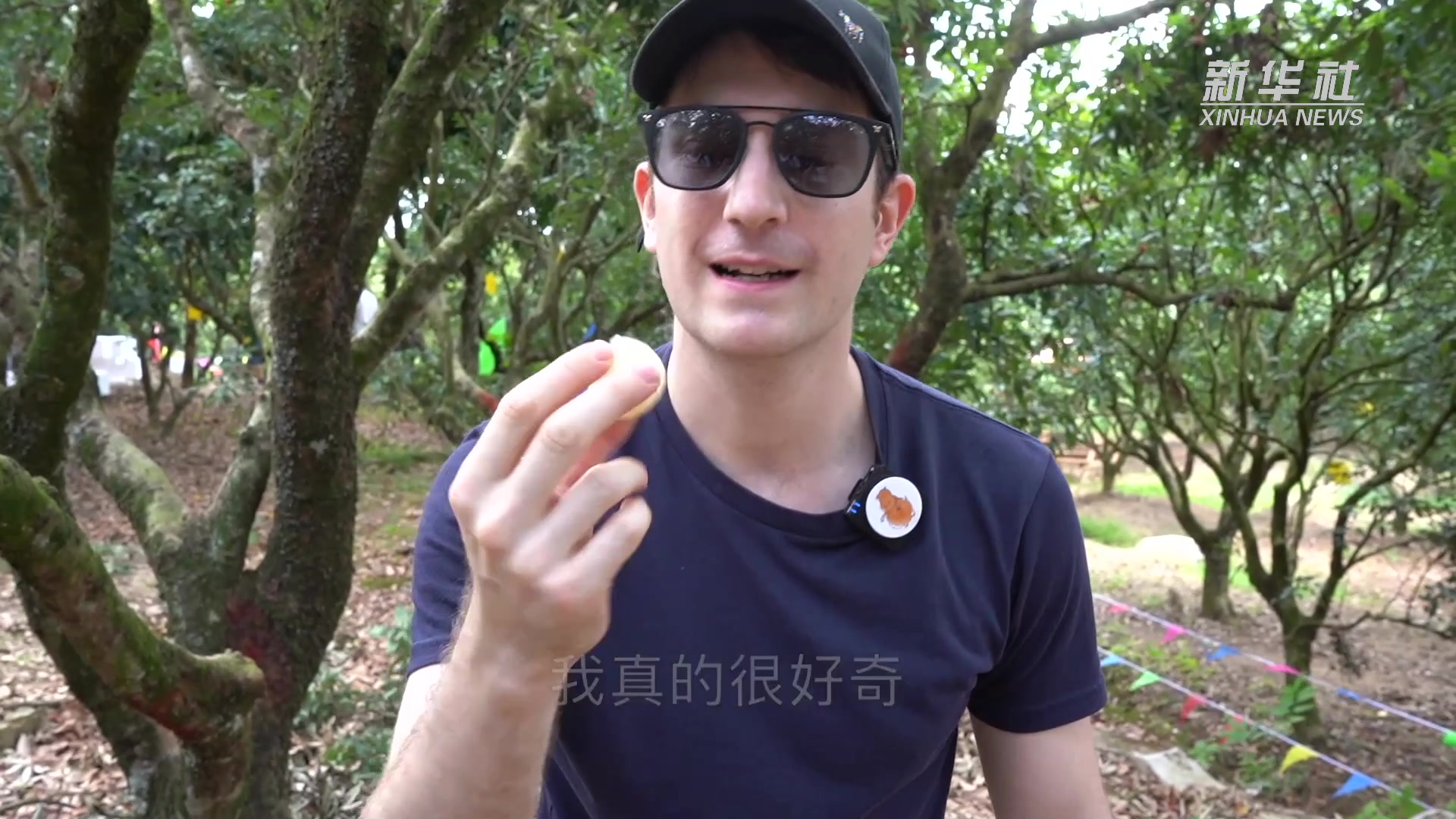 小哥剖析美国服务器租用市场