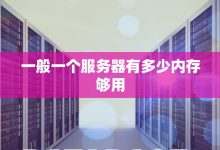掌握服务器存储空间大小的方法与技巧-优乐评测网