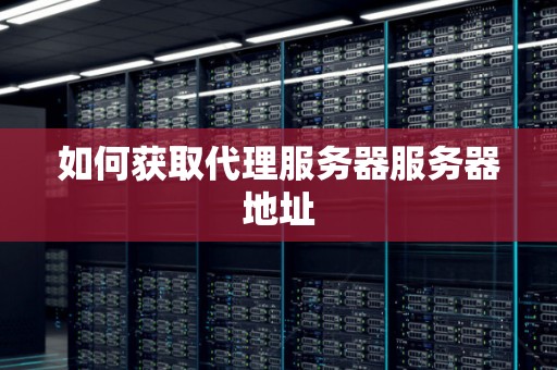 什么是代理服务器端口