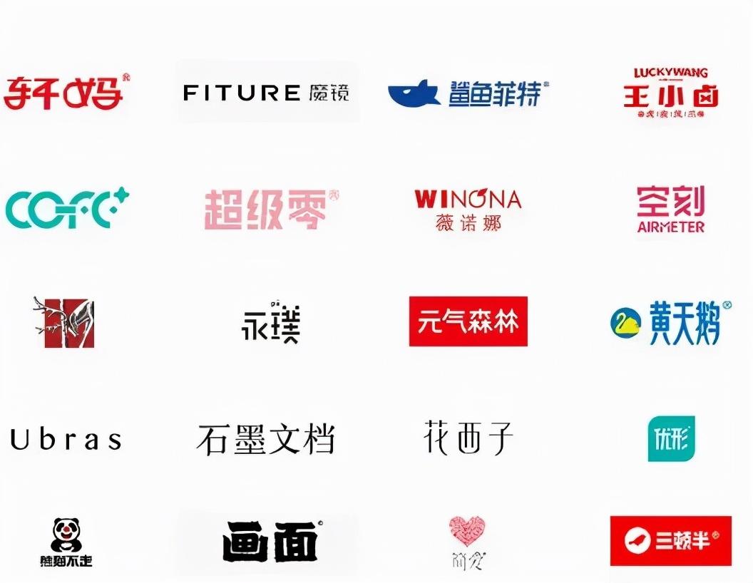 各大品牌与规格的价格差异分析