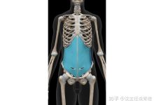 以下几个核心方面：服务器的硬件配置，价格参考区间，不同厂商和地区的价格差异，购买时的注意事项等。-优乐评测网