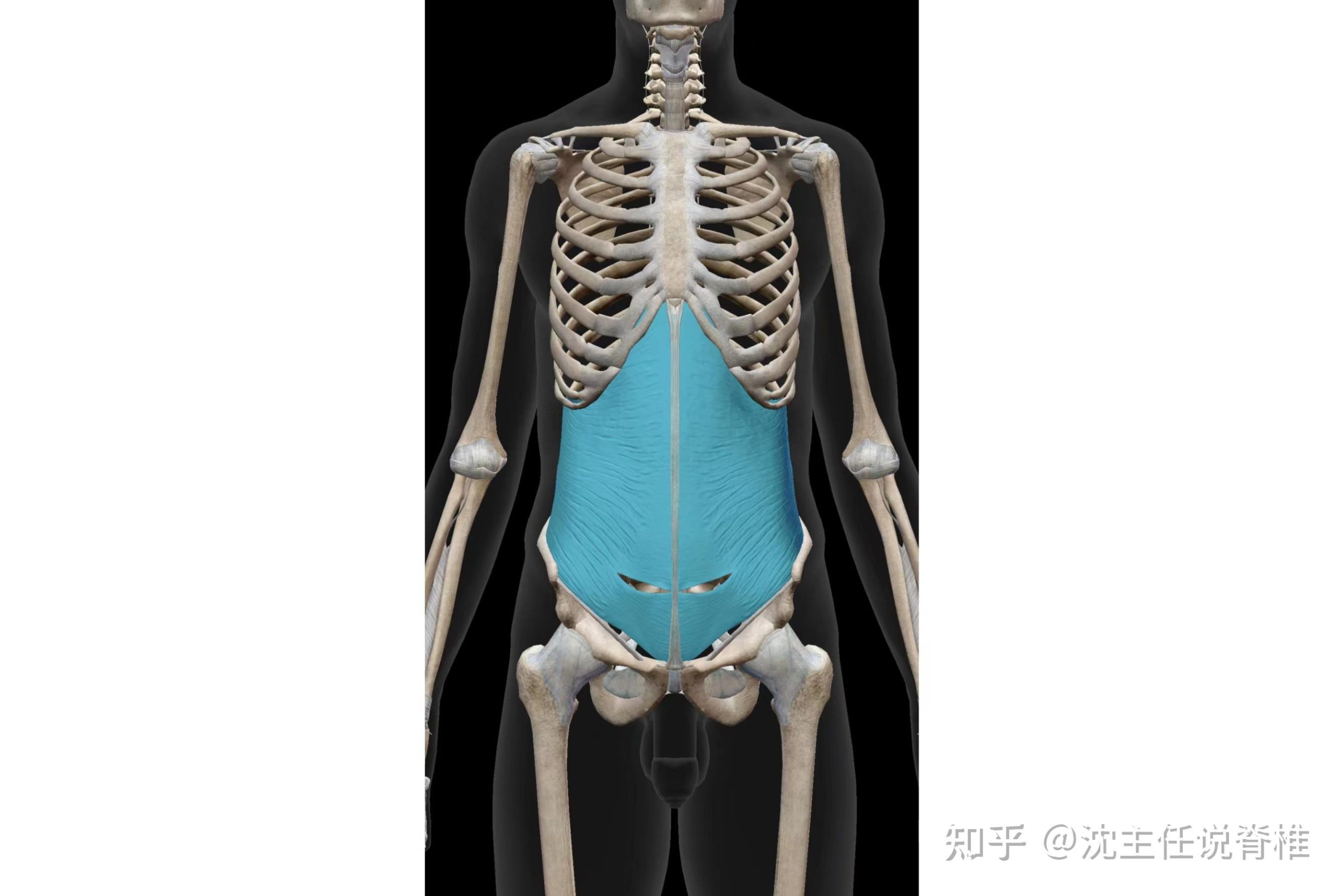 以下几个核心方面