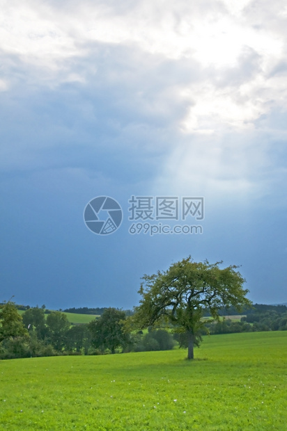 二区太阳井服务器的价格与其他区域有何不同