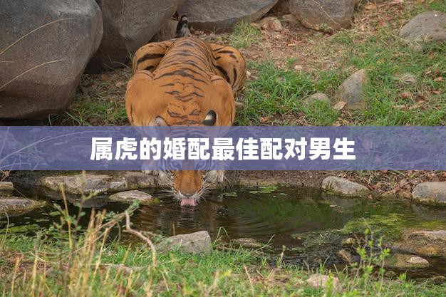 如何选择最适合的服务器机柜