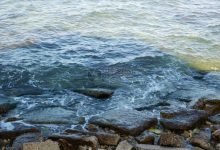 海光服务器价格因型号、配置差异而异，需具体查询-优乐评测网