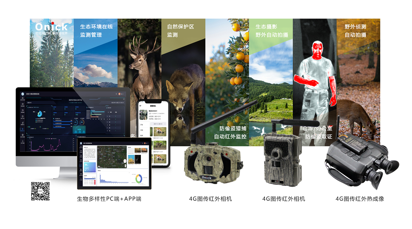 探寻生物云技术在医疗健康领域的应用前景