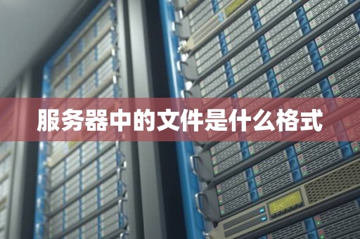 一台文件服务器的价格是多少