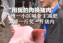 一斤服务器到底价值几何?全面剖析市场变化下的价格走向-优乐评测网