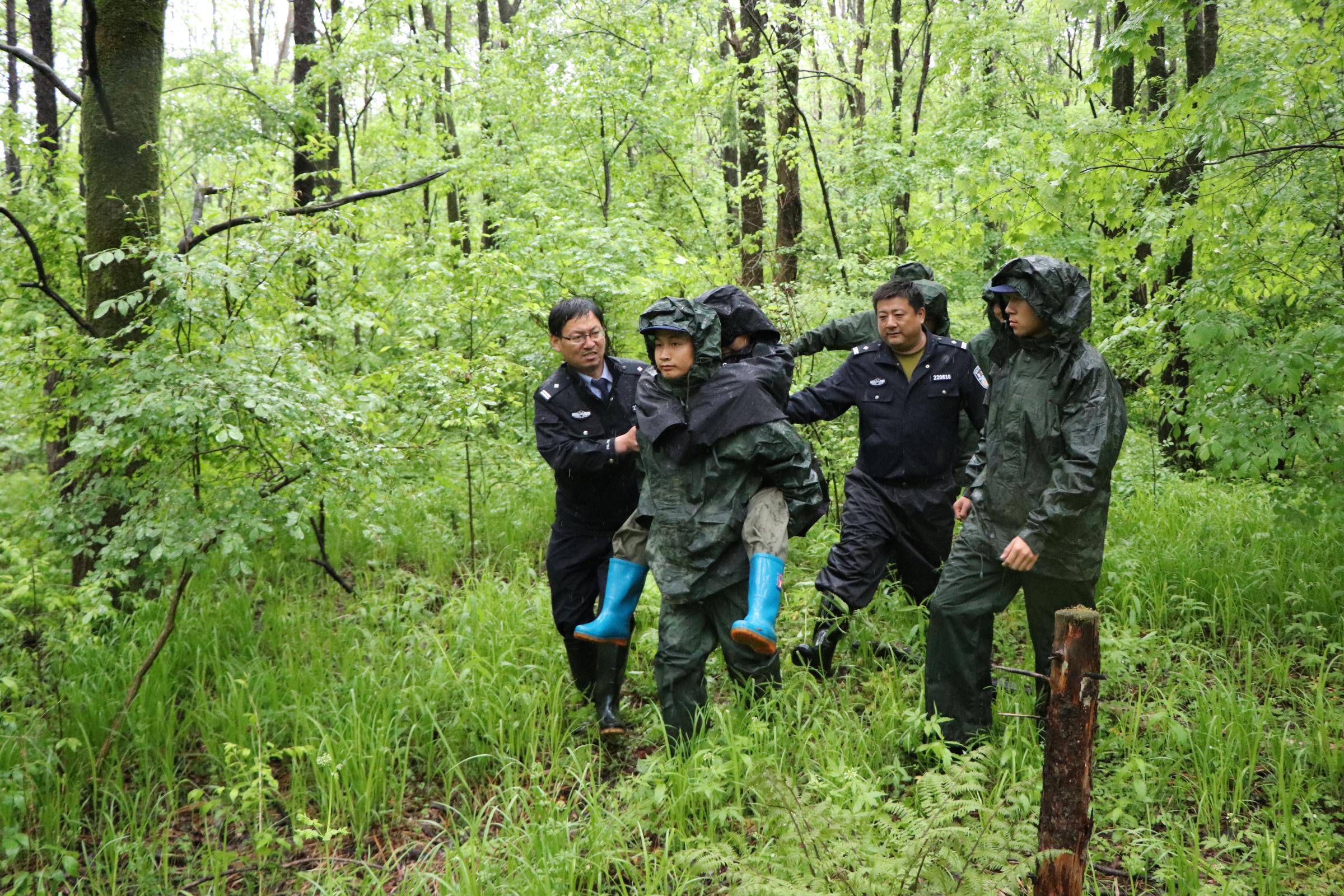 一探森林警察云端科技前沿