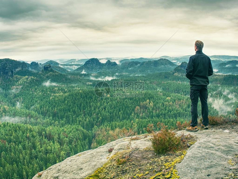 探寻其核心数量与架构