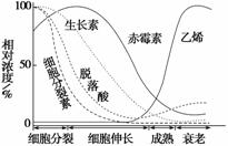 不同环境条件下的精准调控-优乐评测网