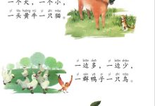 多少钱购买服务器才合适-优乐评测网