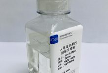 标签进行分割: 《LOL服务器人气旺盛,玩家数量飙升:-优乐评测网