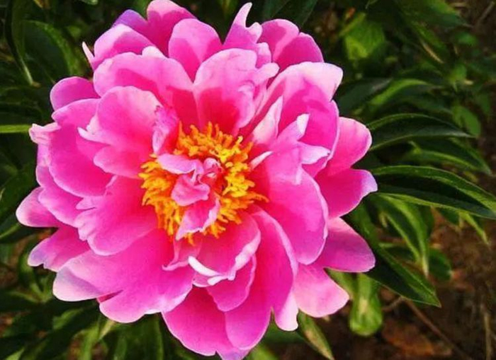 究竟要花多少钱来搭建一个服务器