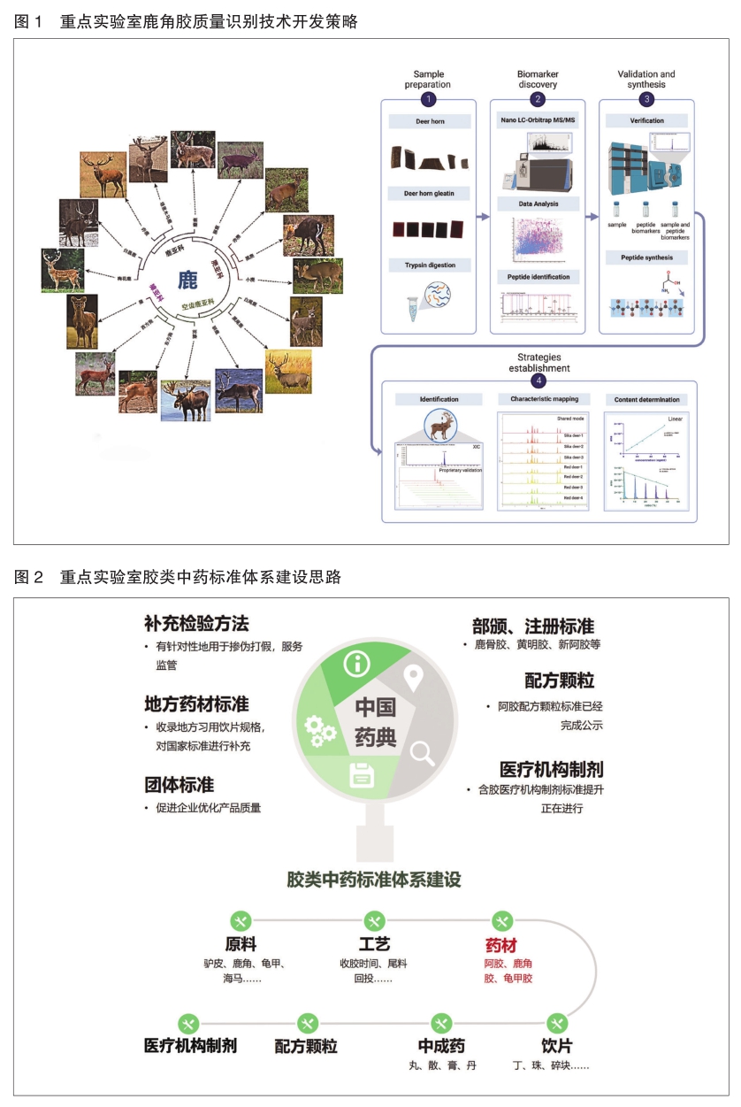 医药监管的新时代